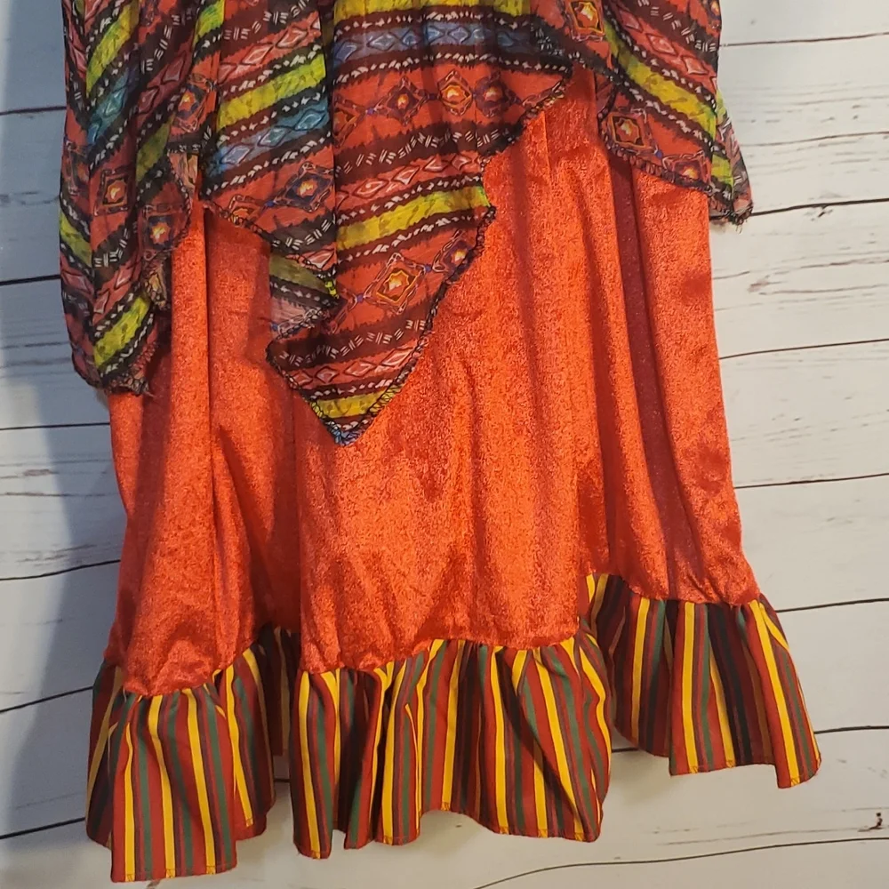 Halloween Costume or‎ Dress Up